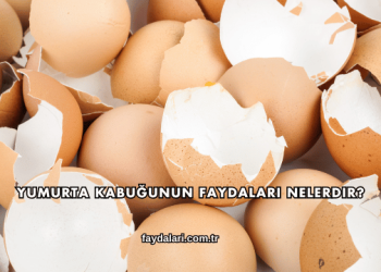 Yumurta Kabuğunun Faydaları Nelerdir?