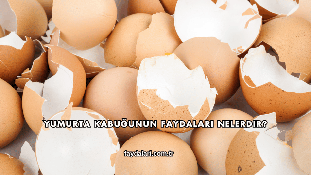 Yumurta Kabuğunun Faydaları Nelerdir?