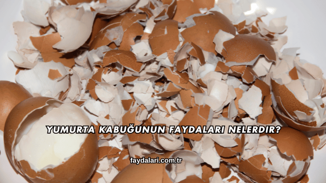 Yumurta Kabuğunun Faydaları Nelerdir?