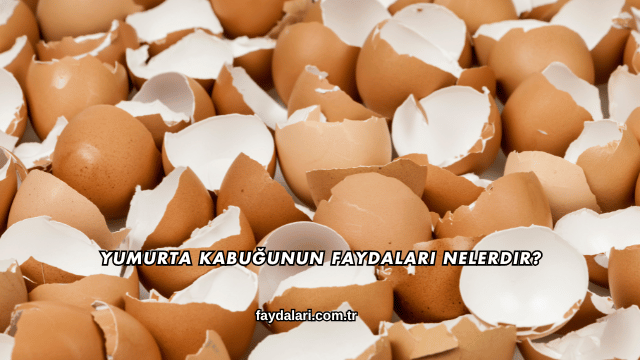 Yumurta Kabuğunun Faydaları Nelerdir?
