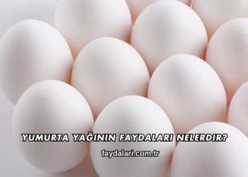Yumurta Yağının Faydaları Nelerdir?
