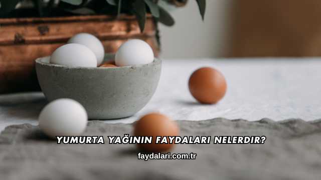 Yumurta Yağının Faydaları Nelerdir?