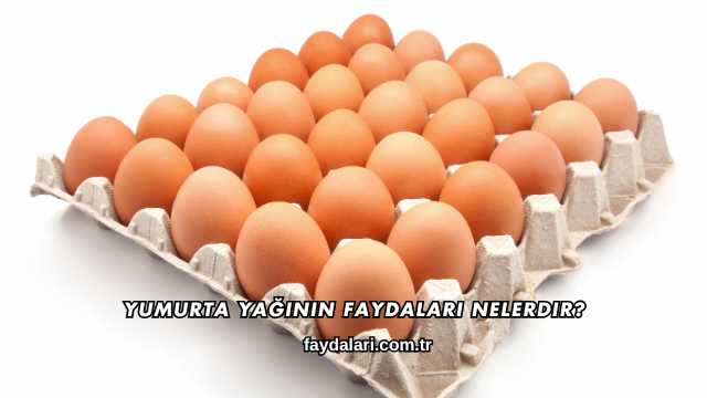 Yumurta Yağının Faydaları Nelerdir?