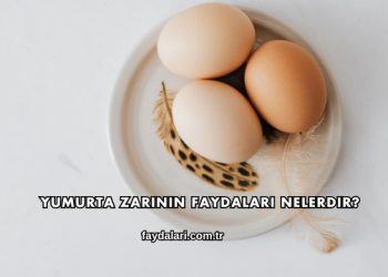 Yumurta Zarının Faydaları Nelerdir?