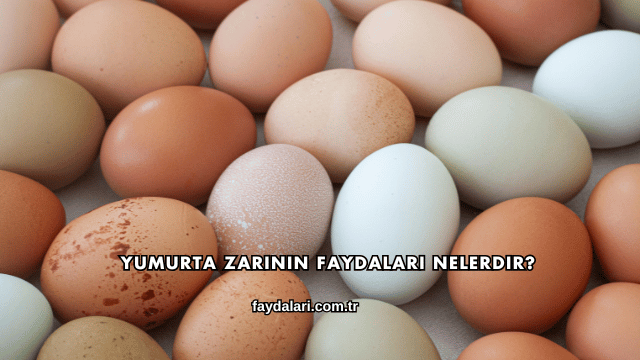 Yumurta Zarının Faydaları Nelerdir?