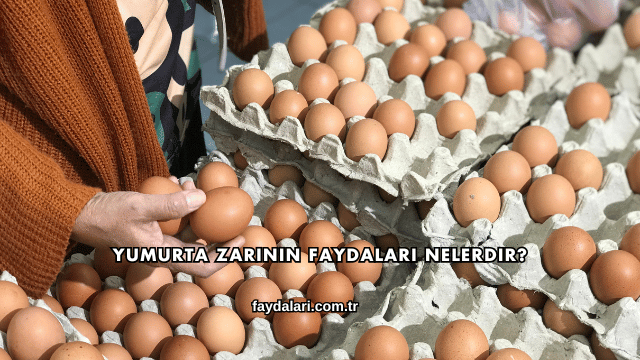 Yumurta Zarının Faydaları Nelerdir?