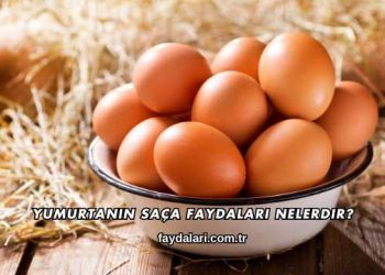 Yumurtanın Saça Faydaları Nelerdir?