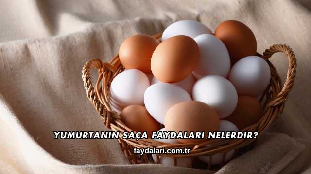 Yumurtanın Saça Faydaları Nelerdir?