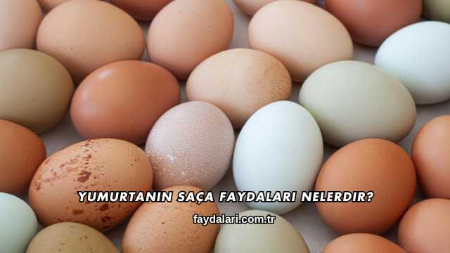 Yumurtanın Saça Faydaları Nelerdir?