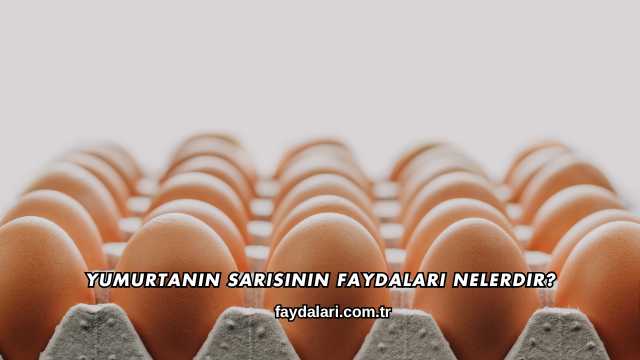 Yumurtanın Sarısının Faydaları Nelerdir?