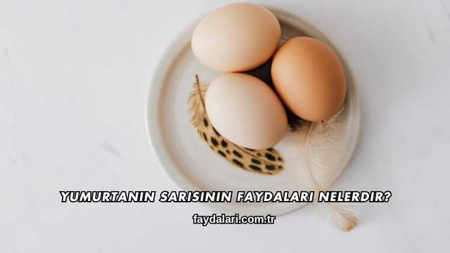 Yumurtanın Sarısının Faydaları Nelerdir?