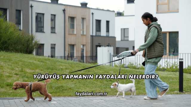 Yürüyüş Yapmanın Faydaları Nelerdir?