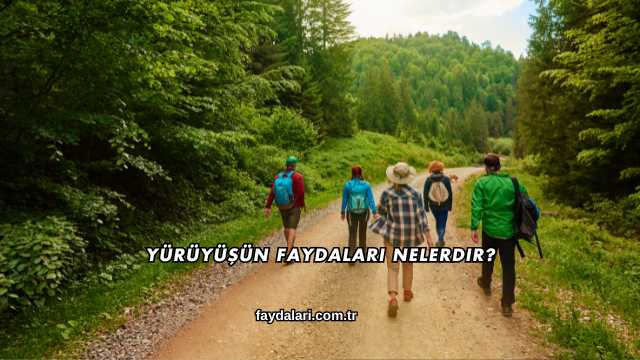 Yürüyüşün Faydaları Nelerdir?