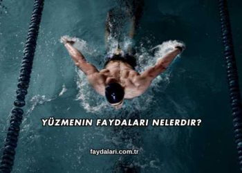 Yüzmenin Faydaları Nelerdir?