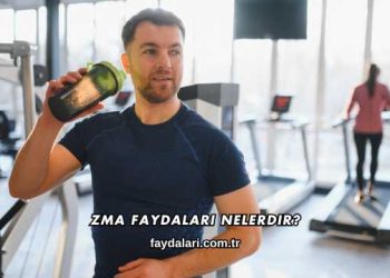 ZMA Faydaları Nelerdir?