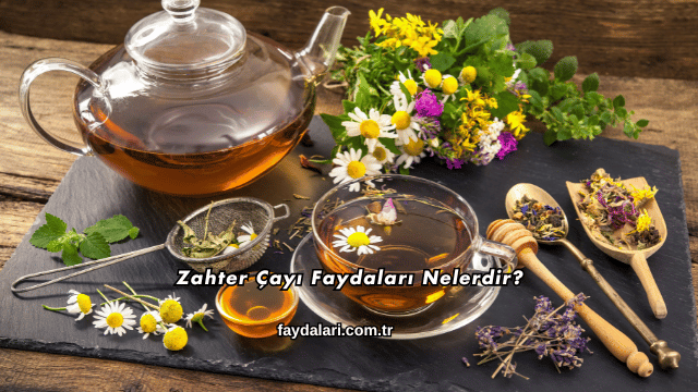 Zahter Çayı Faydaları Nelerdir?