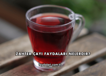 Zahter Çayı Faydaları Nelerdir?