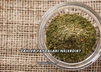 Zahter Faydaları Nelerdir?