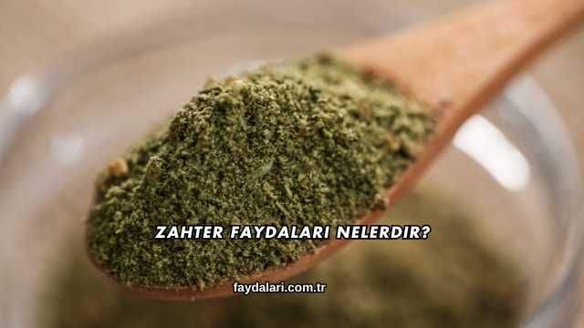 Zahter Faydaları Nelerdir?