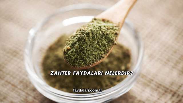 Zahter Faydaları Nelerdir?