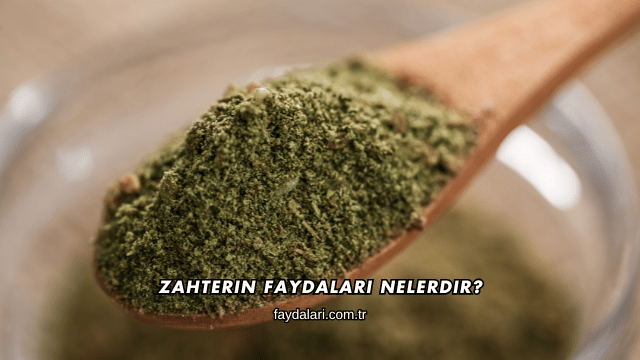 Zahterin Faydaları Nelerdir?