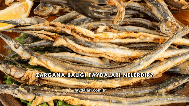 Zargana Balığı Faydaları Nelerdir?
