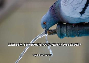 Zemzem Suyunun Faydaları Nelerdir?