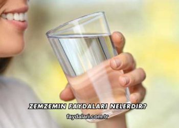 Zemzemin Faydaları Nelerdir?