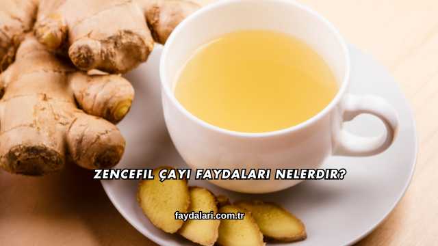 Zencefil Çayı Faydaları Nelerdir?