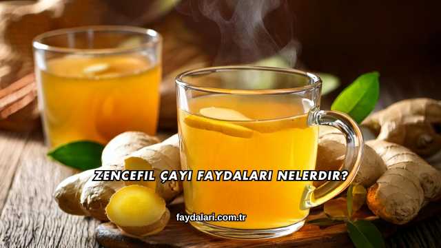 Zencefil Çayı Faydaları Nelerdir?