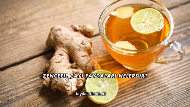 Zencefil Çayı Faydaları Nelerdir?