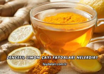 Zencefil Limon Çayı Faydaları Nelerdir?