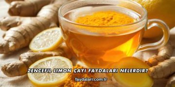 Zencefil Limon Çayı Faydaları Nelerdir?