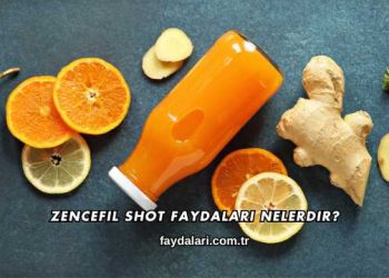 Zencefil Shot Faydaları Nelerdir?