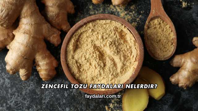 Zencefil Tozu Faydaları Nelerdir?