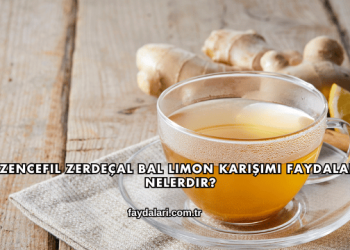 Zencefil Zerdeçal Bal Limon Karışımı Faydaları Nelerdir?