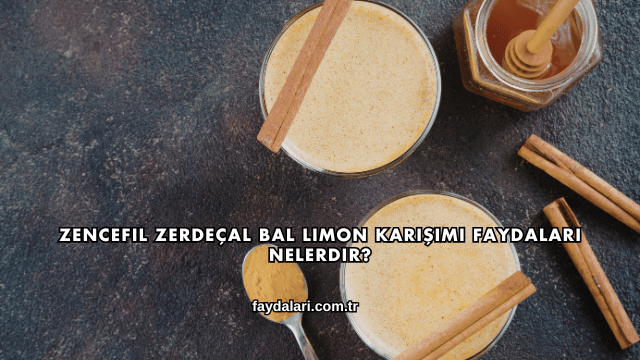 Zencefil Zerdeçal Bal Limon Karışımı Faydaları Nelerdir?