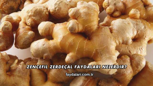 Zencefil Zerdeçal Faydaları Nelerdir?