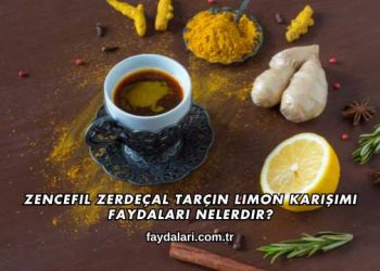 Zencefil Zerdeçal Tarçın Limon Karışımı Faydaları Nelerdir?