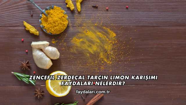 Zencefil Zerdeçal Tarçın Limon Karışımı Faydaları Nelerdir?