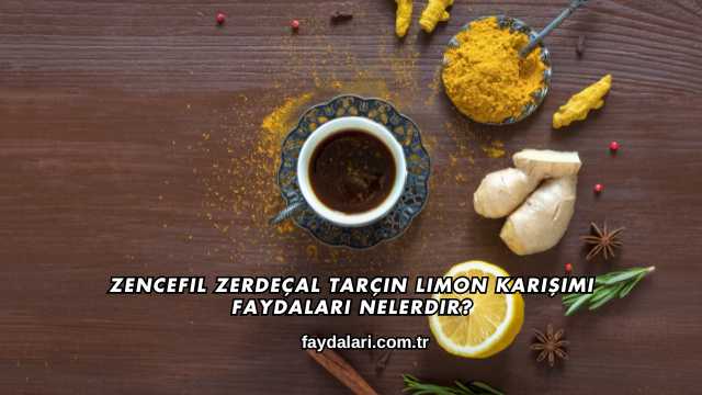 Zencefil Zerdeçal Tarçın Limon Karışımı Faydaları Nelerdir?