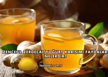 Zencefil Zerdeçal Yoğurt Karışımı Faydaları Nelerdir?