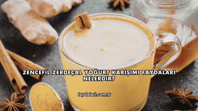 Zencefil Zerdeçal Yoğurt Karışımı Faydaları Nelerdir?