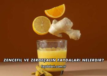 Zencefil ve Zerdeçalın Faydaları Nelerdir?