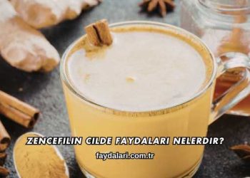 Zencefilin Cilde Faydaları Nelerdir?