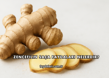 Zencefilin Saça Faydaları Nelerdir?