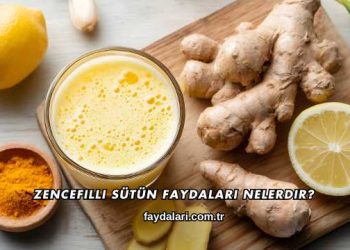 Zencefilli Sütün Faydaları Nelerdir