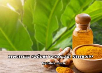 Zencefilli Yoğurt Faydaları Nelerdir?