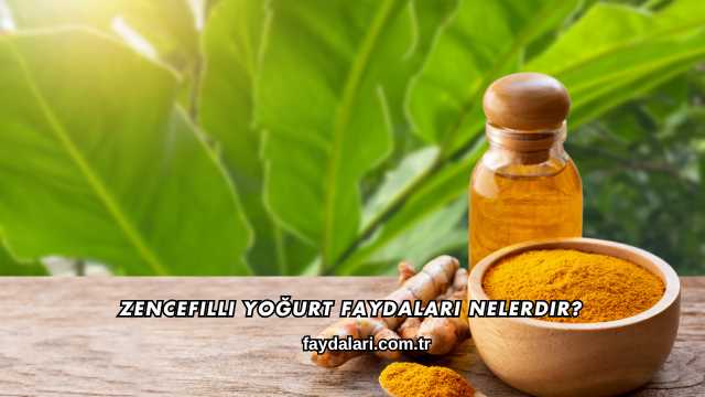 Zencefilli Yoğurt Faydaları Nelerdir?