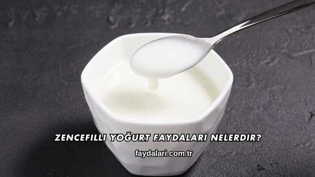 Zencefilli Yoğurt Faydaları Nelerdir?